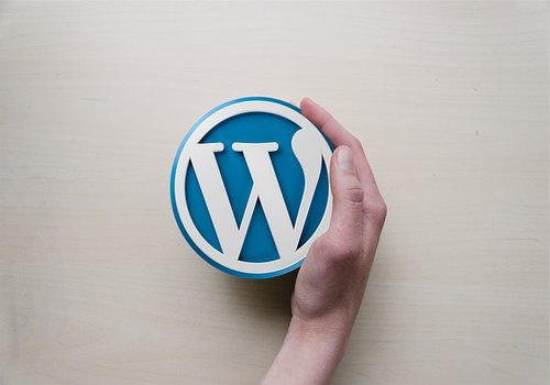 Why Choose WordPress for SEO